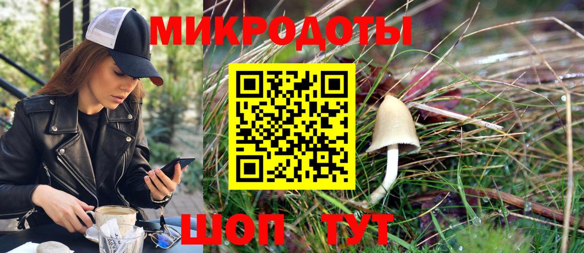 хочу   Псилоцибиновые грибы Psilocybe  Вход с VPN  Галлюциногенные грибы мухоморы  Муром 