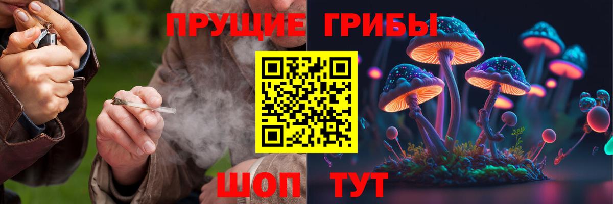Галлюциногенные грибы Magic Shrooms Муром